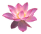 dolceluna purple flower - png gratis GIF animado
