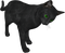 black cat - δωρεάν png κινούμενο GIF