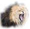 aze lion - Free PNG Animated GIF