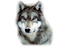 Wolf - zadarmo png animovaný GIF