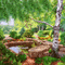 fondo estanque  jardin gif dubravka4 - Free animated GIF Animated GIF