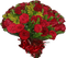 Rosas Vermelhas - GIF animé gratuit