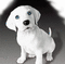 cão - Bezmaksas animēts GIF animēts GIF