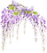 kikkapink border frame flowers summer spring - PNG gratuit GIF animé