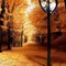 Autumn Forest with Streetlamp - png gratis GIF animado