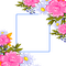 frame flowers deco cadre fleurs