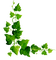 Зеленая ветка - bezmaksas png animēts GIF