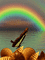 Rainbow - Zdarma animovaný GIF animovaný GIF