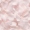 minou-background-pink
