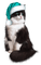 Chat - kostenlos png Animiertes GIF