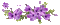 Flower /  Fleurs - Gratis geanimeerde GIF geanimeerde GIF