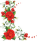 red roses border 🌹rouge rose bordure