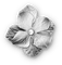 soave deco flowers scrap pearl vintage black white - PNG gratuit GIF animé