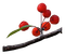 Tube branche fruitier - ingyenes png animált GIF