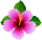 Y.A.M._Fantasy Summer flowers - безплатен png анимиран GIF
