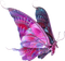Papillon - png grátis Gif Animado