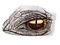 drag eye cracked - 免费PNG 动画 GIF