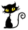 WITCH CAT BLACK CHAT HALLOWEEN
