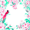 green pink milla1959 - nemokama png animuotas GIF