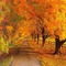 autumn background by nataliplus - gratis png geanimeerde GIF