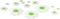 soave deco flowers scrap floor daisy white green - ücretsiz png animasyonlu GIF