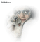 tube femme avec chat - darmowe png animowany gif