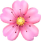 Sakura emoji - PNG gratuit GIF animé