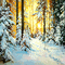 Y.A.M._Winter background - Gratis geanimeerde GIF geanimeerde GIF