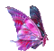 papillon - GIF animado grátis Gif Animado