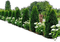 Gartenwand - png gratis GIF animado