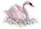 Swan-Nitsa 1 - PNG gratuit GIF animé