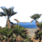 Mare di Brolo con palme - Free PNG Animated GIF