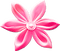 soave deco flowers pearl  scrap pink - PNG gratuit GIF animé