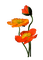 Flores - png gratis GIF animasi