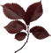 minou-leaves-blad-foglie - ücretsiz png animasyonlu GIF