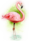Vogel, Flamingo, Aquarelle - bezmaksas png animēts GIF
