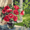soave background animated  vintage flowers vase - GIF animé gratuit GIF animé
