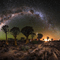 Rena Afrika Night Nacht Hintergrund - bezmaksas png animēts GIF
