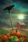 background halloween_fond___BlueDREAM 70 - бесплатно png анимированный гифка