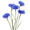 flowers - gratis png geanimeerde GIF
