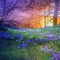 spring background - png gratis GIF animado