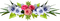 fleurs - nemokama png animuotas GIF