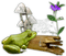 Frog.Grenouille.Crapaud.Toad.Victoriabea - kostenlos png Animiertes GIF