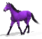 purple horse - GIF animado grátis Gif Animado