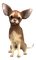 Kaz_Creations Dog Pup