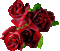 RED ROSES - Free animated GIF Animated GIF