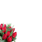 red flowers  Bb2 - zadarmo png animovaný GIF