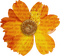 kikkapink deco autumn flower orange