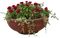 Blumentopf - безплатен png анимиран GIF