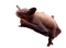 Bat pup - Darmowy animowany GIF